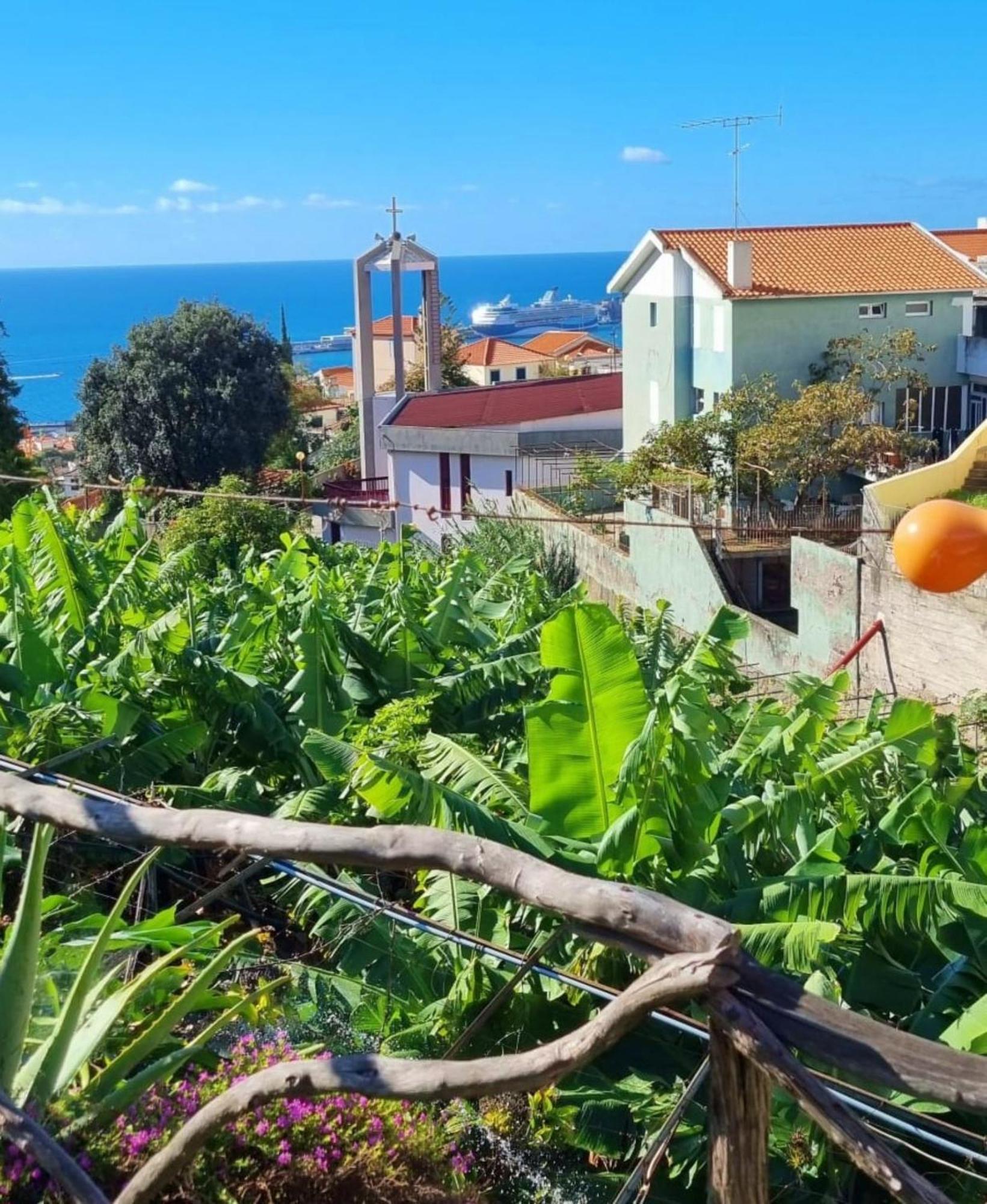 Villa Catanho Funchal  Esterno foto