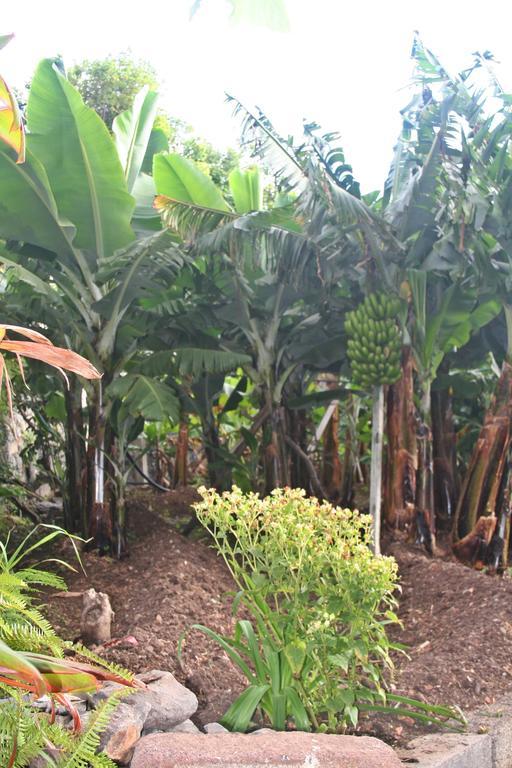 Villa Catanho Funchal  Esterno foto