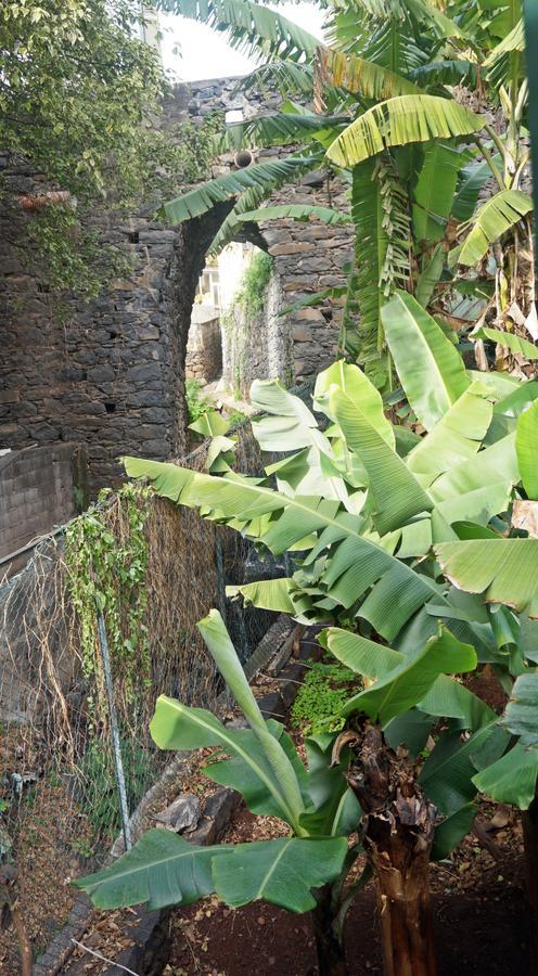 Villa Catanho Funchal  Esterno foto